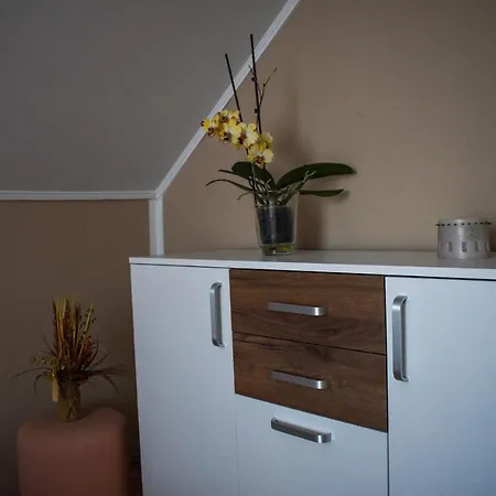 Apartman Golden Bis, Szabadka