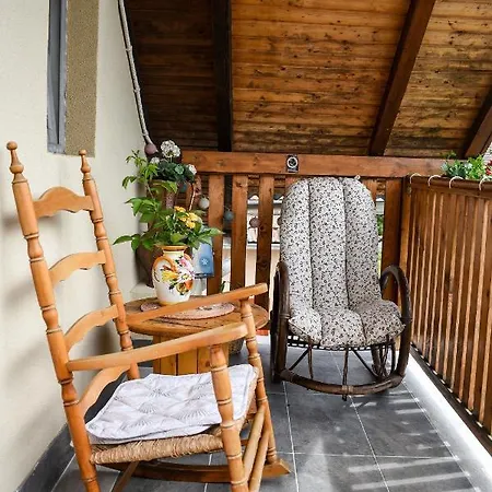 Golden Bis, Apartman Szabadka