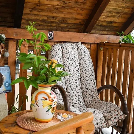 Golden Bis, Subotica