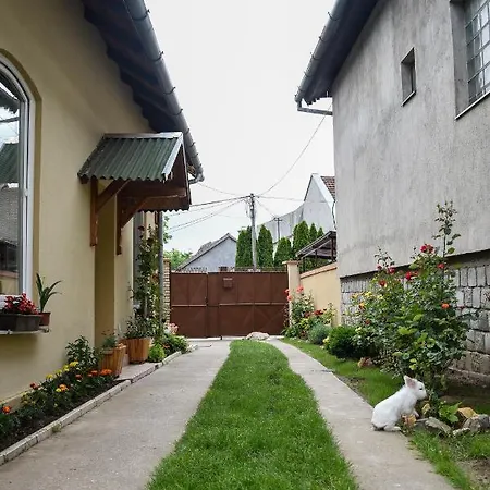 Golden Bis, Apartman