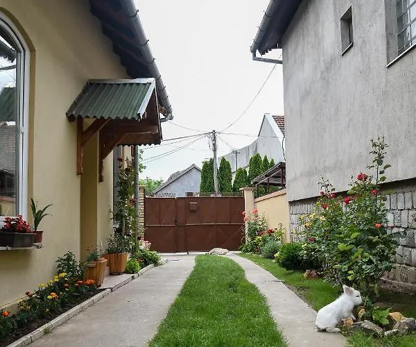 Golden Bis, アパート